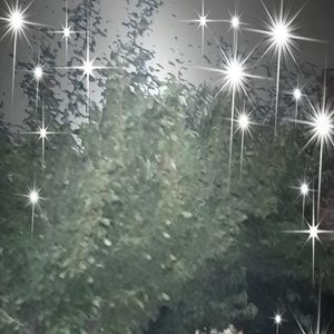 Meet your Posher, Aracely